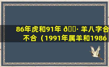 86年虎和91年 🌷 羊八字合不合（1991年属羊和1986虎婚姻如何）